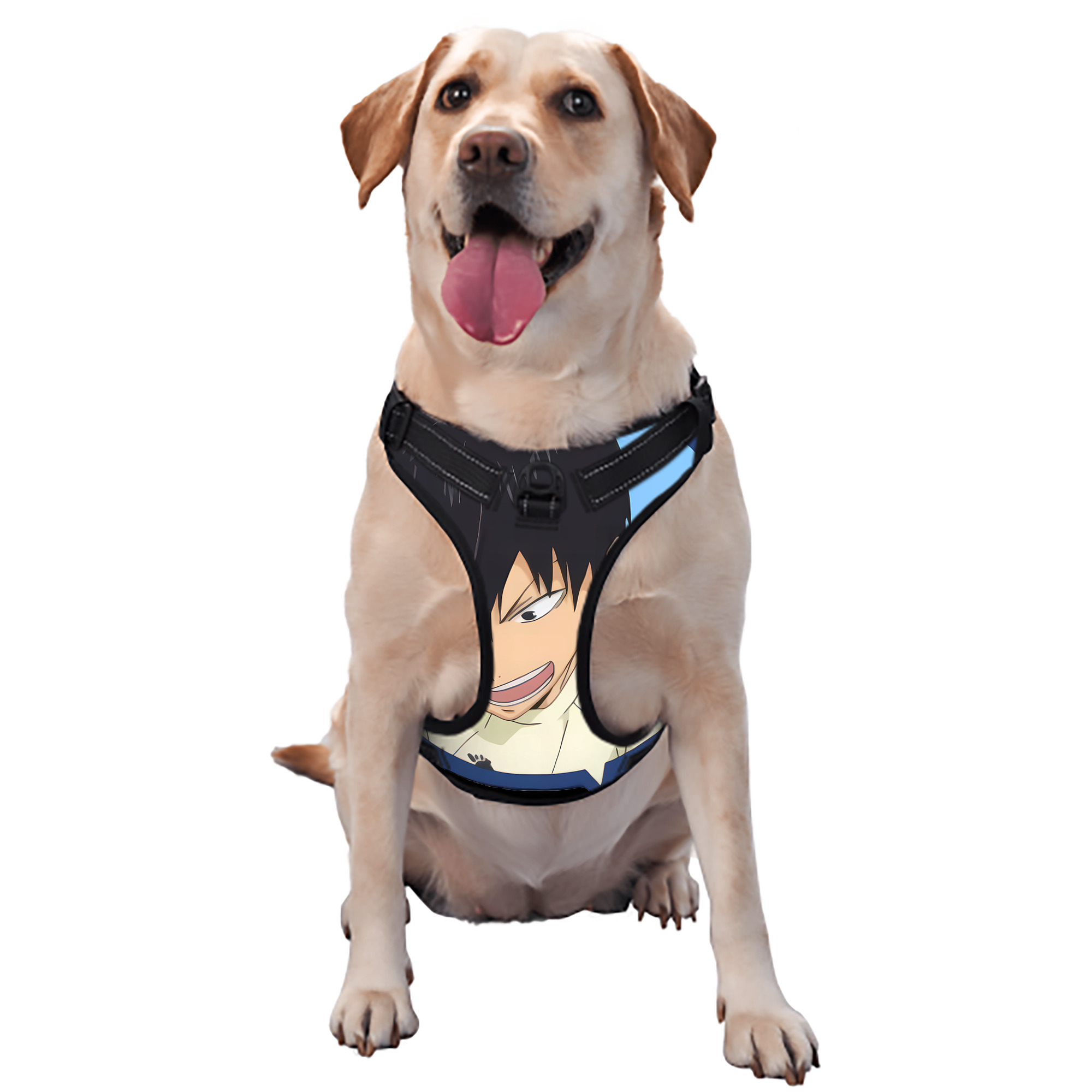 （画像用） ハイキュー!! Haikyu!! ペット用ハーネス